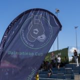 DSC02455