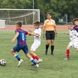 DSC08018