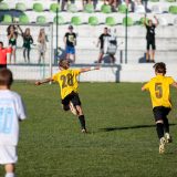 SIZ 7941