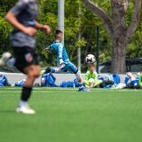 TOP 8099